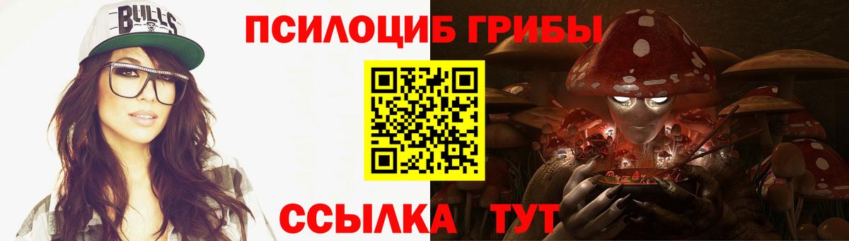 Псилоцибиновые грибы Psilocybine cubensis  Вход с VPN  Королёв 